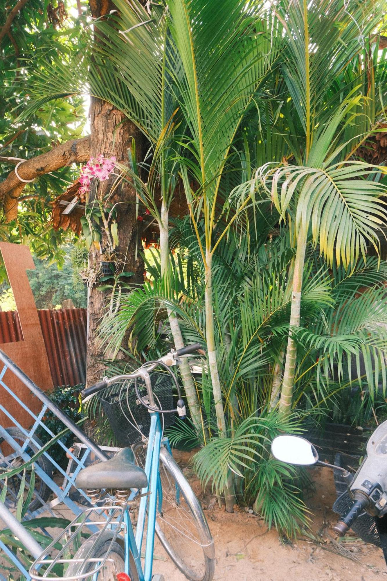 Siem Reap Homesteading Екстериор снимка