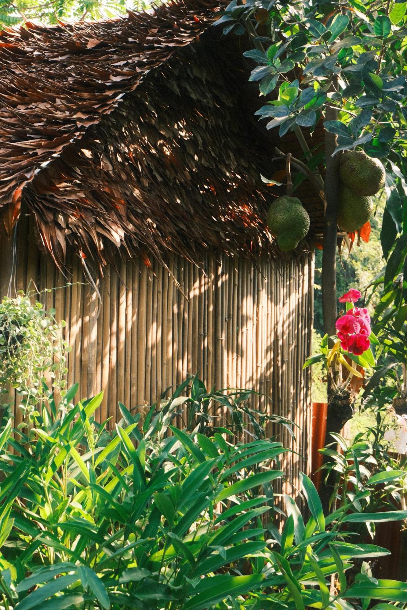 Siem Reap Homesteading Екстериор снимка